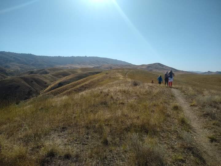 Hiking trail in the foothills